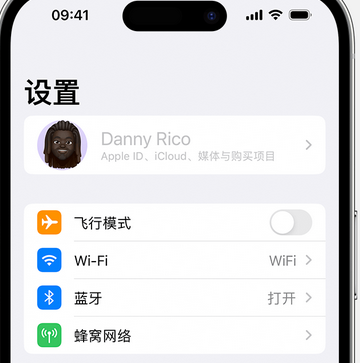 洞头appleID维修服务iPhone设置中Apple ID显示为灰色无法使用 