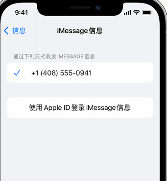 洞头apple维修iPhone上无法正常发送iMessage信息 