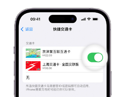 洞头apple维修点分享iPhone上更换Apple Pay快捷交通卡手绘卡面 