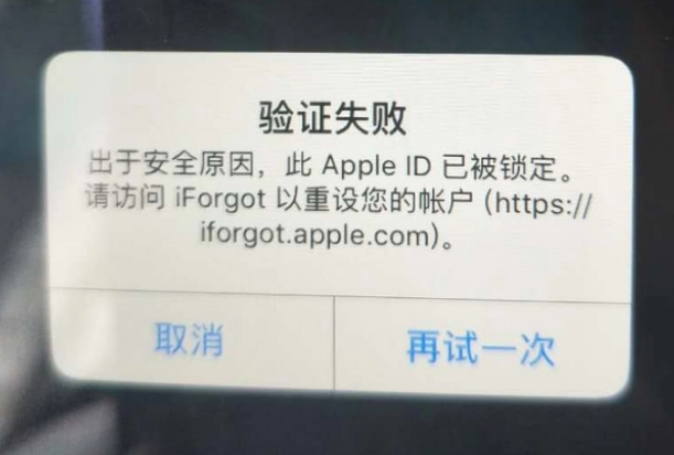 洞头iPhone维修分享iPhone上正常登录或使用AppleID怎么办 