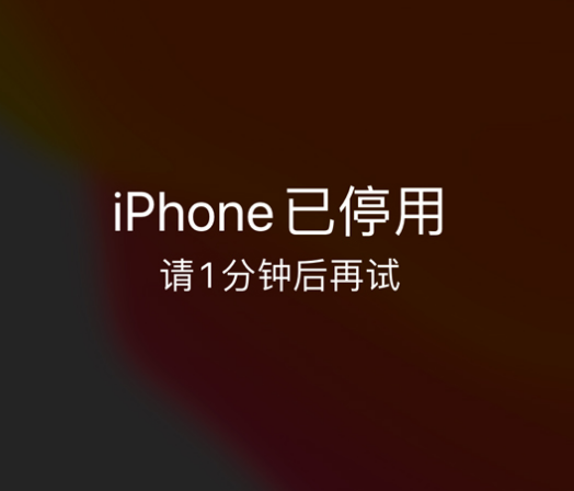洞头苹果手机维修分享:iPhone 显示“不可用”或“已停用”怎么办？还能保留数据吗？ 