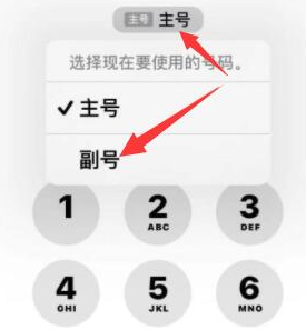 洞头苹果14维修店分享iPhone 14 Pro Max使用副卡打电话的方法 