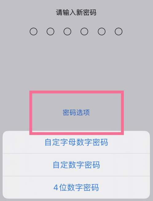 洞头苹果14维修分享iPhone 14plus设置密码的方法 