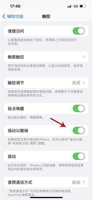 洞头苹果手机维修分享iPhone手机如何设置摇一摇删除文字 
