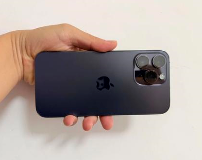 洞头苹果维修点分享iPhone 14 Pro Max发烫多重诱因剖析 